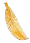 Pena de Cristal Asfour Feather 3